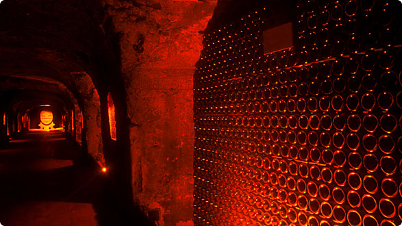Piwnica win - prywatne centrum wina