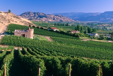 Świat wina - Włochy - Toskania