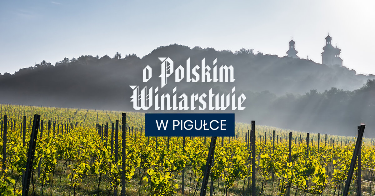 O polskim winiarstwie w pigułce