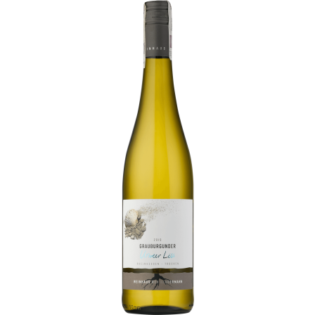 Wino Kendermann Urmeer Löss Grauburgunder Trocken Qualitatswein Rheinhessen - Białe, Wytrawne