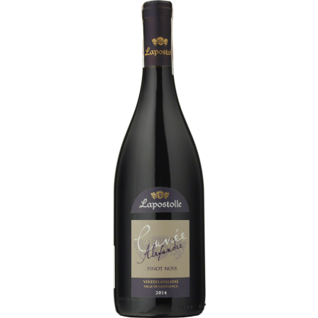 Wino Lapostolle Cuvee Alexandre Pinot Noir Casablanca Valley - Czerwone, Wytrawne