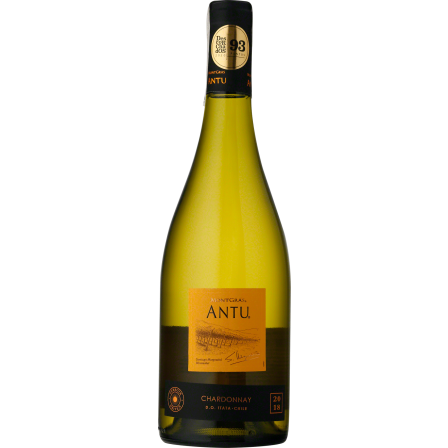 Wino Montgras Antu Chardonnay Itata Valley - Białe, Wytrawne
