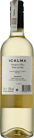 Wino Icalma Sauvignon Blanc Central Valley - Białe, Wytrawne