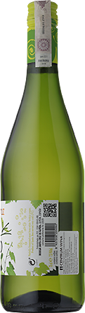 Wino Santa Cruz White Verdejo - Białe, Półsłodkie