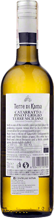 Wino Terre di Kama Catarratto Pinot Grigio - Białe, Wytrawne